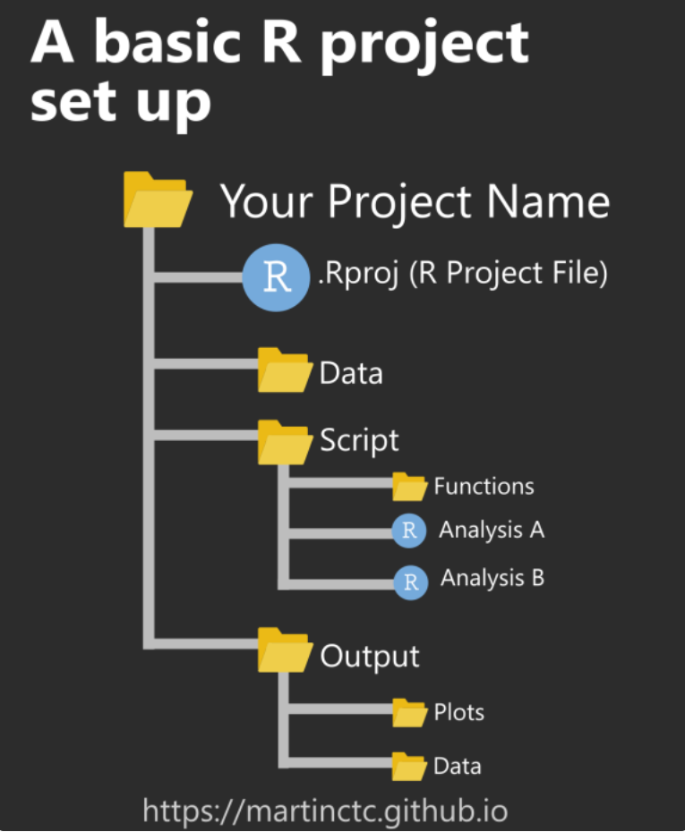 The folders and files are arranged in a hierarchy. The first level is 'Your Project Name' with an .Rproj (R Project File) and three folders: a 'Data' folder, containing all data files needed for the analysis; a 'Script' folder, containing a folder called 'Functions' for any functions created and used, and separate .r or .rmd files for each analysis; and an 'Output' folder with a folder each for 'Plots' and 'Data'